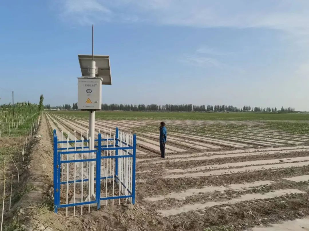 新疆电信农业智能化让农牧民不再“忙种”